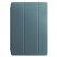 Цвет изображения Чехол для iPad Pro 11 2018 Smart Case цвета полыни