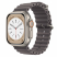 Цвет изображения Серый ремешок для Apple Watch 38/40/41 mm Ocean Band