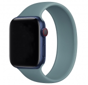 Изображение Монобраслет силиконовый для Apple Watch COTEetCI 40/38 Green Pine Needles