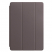 Цвет изображения Чехол для iPad 10.2 2019 - 2021 Smart Case угольно-серый