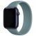 Цвет изображения Монобраслет силиконовый для Apple Watch 42/44/45/49 mm COTEetCI Green Pine Needles